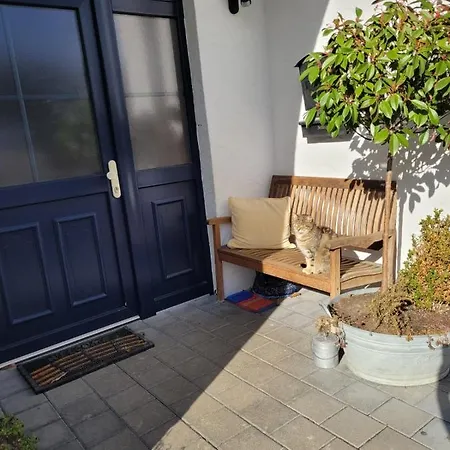 Apartment Ferienappartment Mit Schlafzimmer